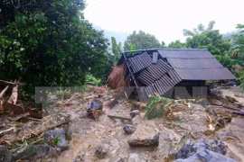 Vietnamitas en Camboya realizan actividades de apoyo a pobladores connacionales tras inundaciones