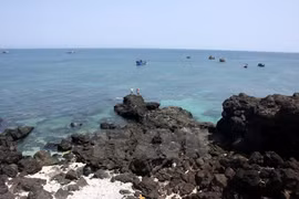 Forman zona de reserva marina en provincia central de Vietnam