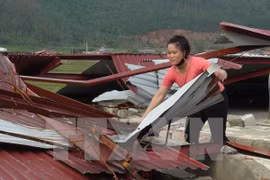 Vietnam brinda asistencia a víctimas del tifón Doksuri