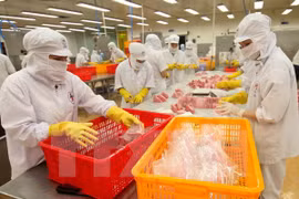 Empresas de Vietnam ante riesgos en comercio internacional