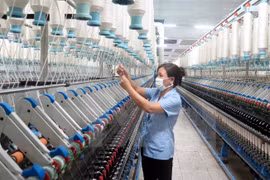 Sector de confecciones textiles de Vietnam por superar barreras para conquistar nuevos mercados 