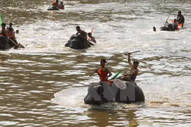 Más de 100 mil turistas a provincia vietnamita Dak Lak en ocasión de Tet