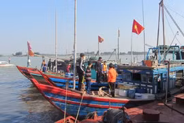 Provincia de Thanh Hoa adopta medidas para impulsar el sector pecuario