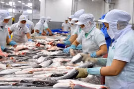 Vietnam intensifica control del proceso de exportación de bagres a Estados Unidos