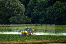 Ciudad Ho Chi Minh moviliza contribución de vietnamitas en ultramar a desarrollo de agricultura de alta tecnología