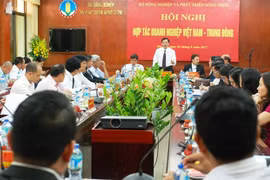 Vietnam busca medidas para promover exportaciones a Medio Oriente