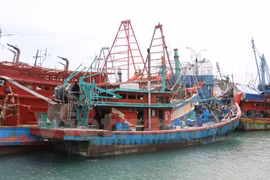 Vietnam e Indonesia reforzarán cooperación marítima y pesquera
