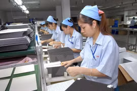 Nikkei destaca los logros del proceso de renovación de Vietnam