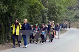 Registran aumento de visitantes al pueblo vietnamita de Sa Pa en Año Nuevo