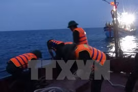 Rescatan a marineros vietnamitas accidentados en el mar 