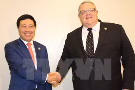 Vietnam fortalece lazos internacionales en actividades al margen de AMM- 50