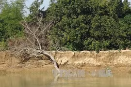 Provincia vietnamita implementará proyectos para prevenir inundaciones
