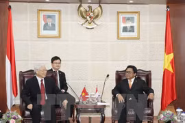 Vietnam e Indonesia apuntan a una asociación estratégica más profunda