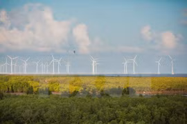 Perspectivas de cooperación entre Vietnam y Alemania en energías renovables