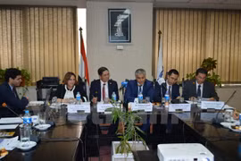 Promueven en Egipto potencialidades económicas de Vietnam 