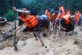 Nghe An acogerá XI Reunión del APEC sobre Gestión de Desastres Naturales
