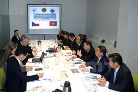 Estimulan inversión de República Checa en provincia altiplánica de Vietnam