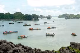 Ciudad vietnamita inicia primera fase de complejo eco-turístico
