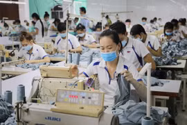 Exigen maximizar esfuerzos para alcanzar meta de crecimiento económico de Vietnam en 2017