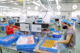 Zonas industriales en Ciudad Ho Chi Minh planean atraer 500 millones de dólares en 2017