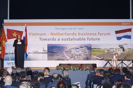 Enfrentamiento a cambio climático: sector potencial para colaboración Vietnam- Países Bajos 