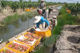 Exigen levantar la suspensión india de compra de productos vietnamitas 