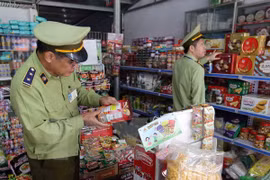Vietnam por mantener estabilidad de precios durante días festivos 