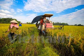 Economías del APEC debaten sobre biotecnología agrícola en la era digital