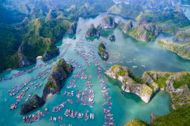 Prepara Vietnam documentos para solicitar reconocimiento de zona Ha Long - Cat Ba como patrimonio mundial