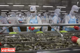 Minh Phu – gran marca de productos acuáticos de Vietnam