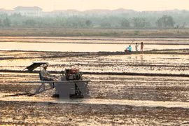 Vietnam y UNICEF por reducir efectos de desastres naturales en niños 