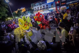 Celebran en ciudad vietnamita festival por Año Nuevo Lunar