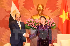 Vietnam y Egipto buscan impulsar nexos interparlamentarios 