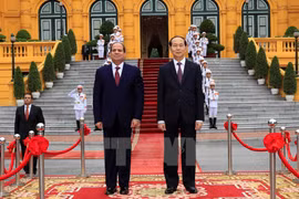 Medios de comunicación egipcios destacan experiencias de Vietnam en renovación nacional