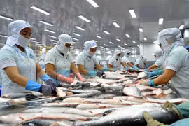 Sector acuícola vietnamita debe apuntar al mercado asiático, según expertos