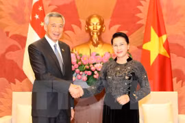 Sugieren establecer grupo de parlamentarios de amistad Singapur-Vietnam 