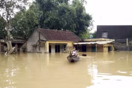Gobierno vietnamita ofrece ayuda por inundaciones a provincia de Binh Dinh