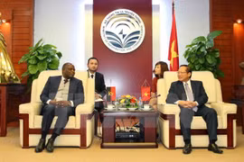 Vietnam y Angola cooperan en sector de telecomunicaciones