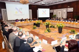 Ciudad vietnamita de Da Nang acoge reunión de gobernadores de ASEF
