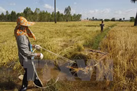 Camboya mantendrá crecimiento económico de siete por ciento en 2017 y 2018