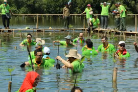 ASEAN por impulsar conservación medioambiental mediante ampliación de manglares