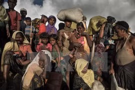 Los primeros rohingyas serán repatriados a Bangladesh en enero de 2018