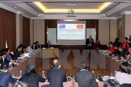 Vietnam y Australia fortalecen iniciativas de líderes jóvenes 
