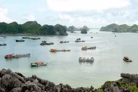Ha Long acogerá Diálogo sobre turismo sostenible de APEC