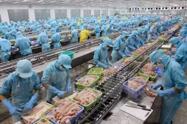 Celebrarán feria de productos acuáticos vietnamitas en Hanoi