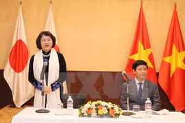 Vietnam impulsa relaciones multifacéticas con Japón
