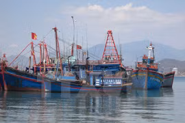 Provincia vietnamita de Tra Vinh respalda a pescadores en acceso a los seguros
