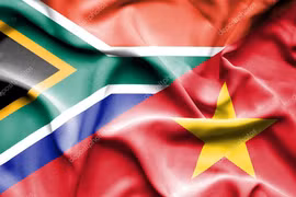 Cooperación con Sudáfrica, punto relevante de nexos entre Vietnam y África 