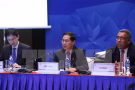 APEC Vietnam 2017: varias actividades en última jornada de comités y grupos concerniente de SOM3