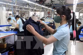 APEC: gran oportunidad para el avance político y económico de Vietnam 